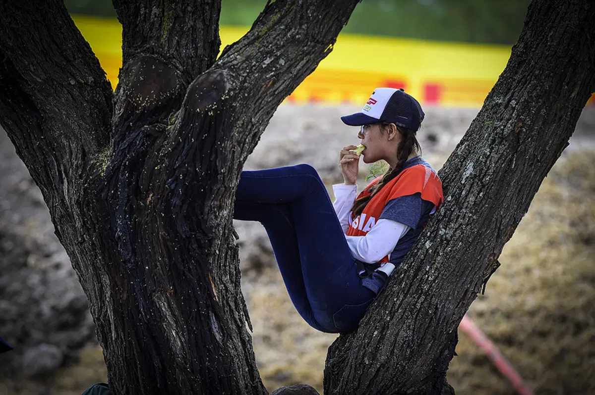 MXGP 2016. Le foto più spettacolari del GP del Messico (36)