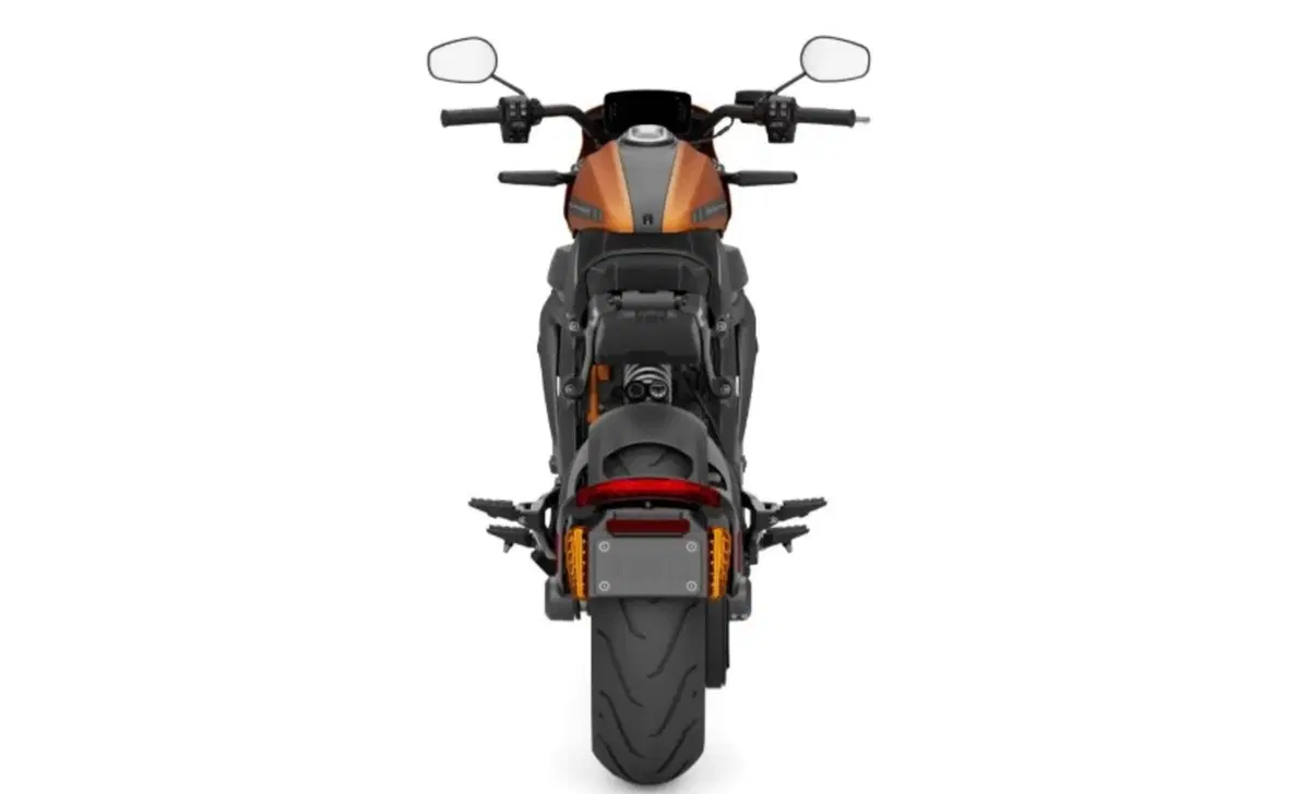 Harley-Davidson LiveWire LiveWire (2019 - 22) (5)