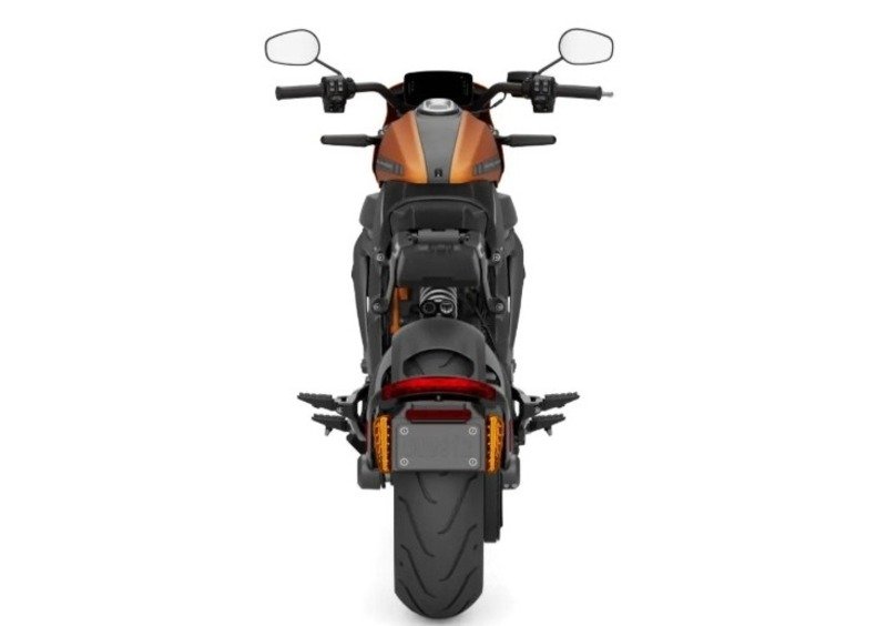 Harley-Davidson LiveWire LiveWire (2019 - 22) (5)