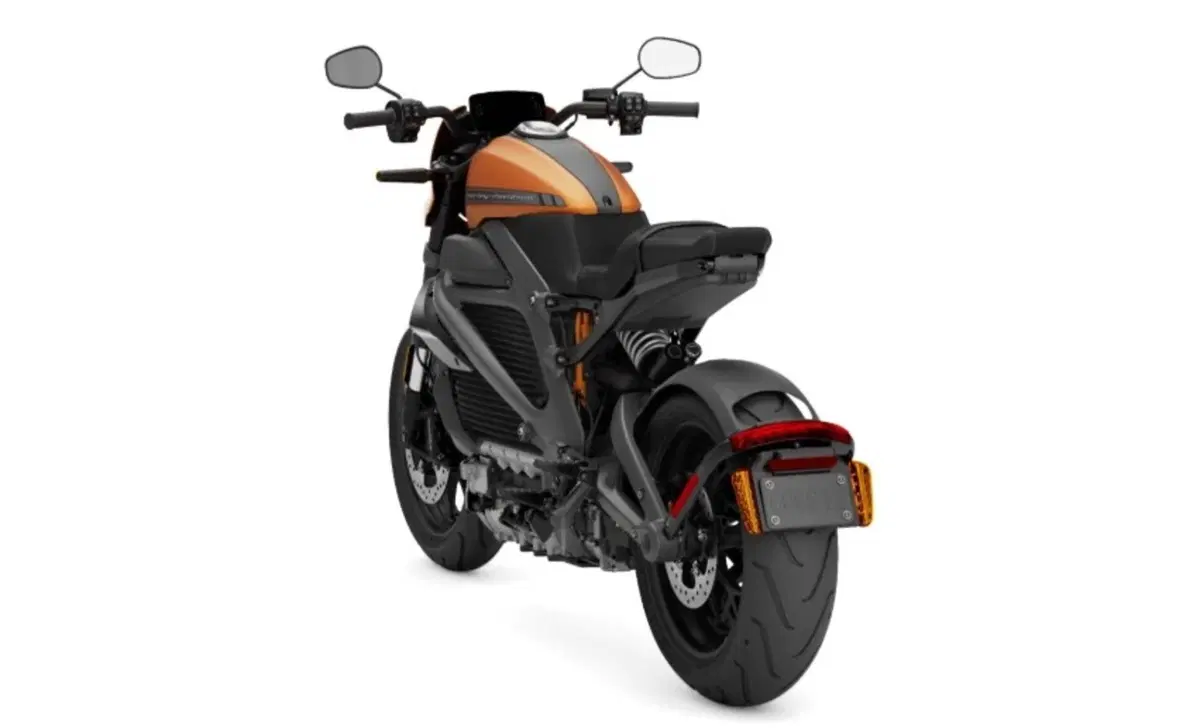 Harley-Davidson LiveWire LiveWire (2019 - 22) (4)