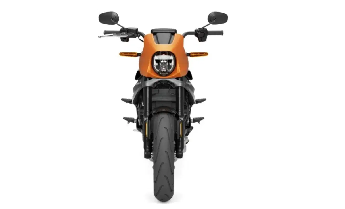 Harley-Davidson LiveWire LiveWire (2019 - 22) (3)