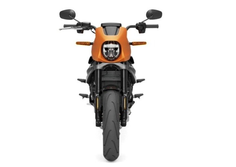 Harley-Davidson LiveWire LiveWire (2019 - 22) (3)