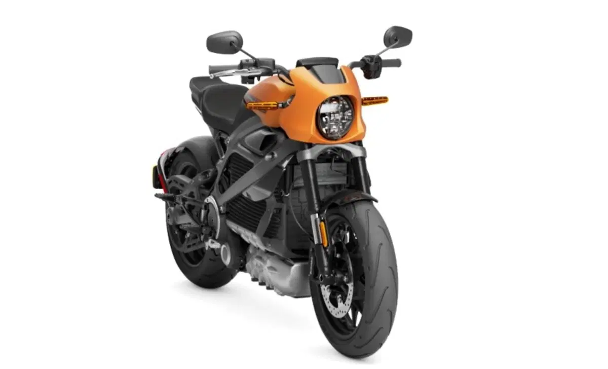 Harley-Davidson LiveWire LiveWire (2019 - 22) (11)