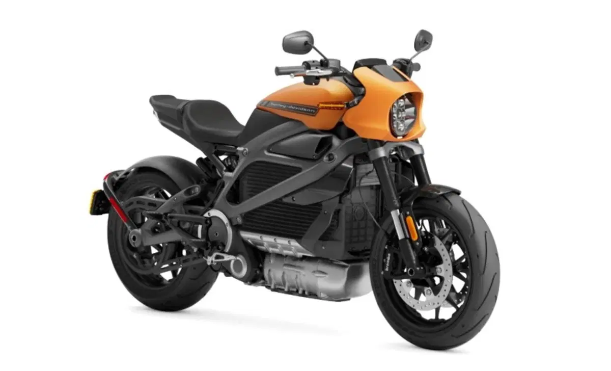 Harley-Davidson LiveWire LiveWire (2019 - 22) (12)
