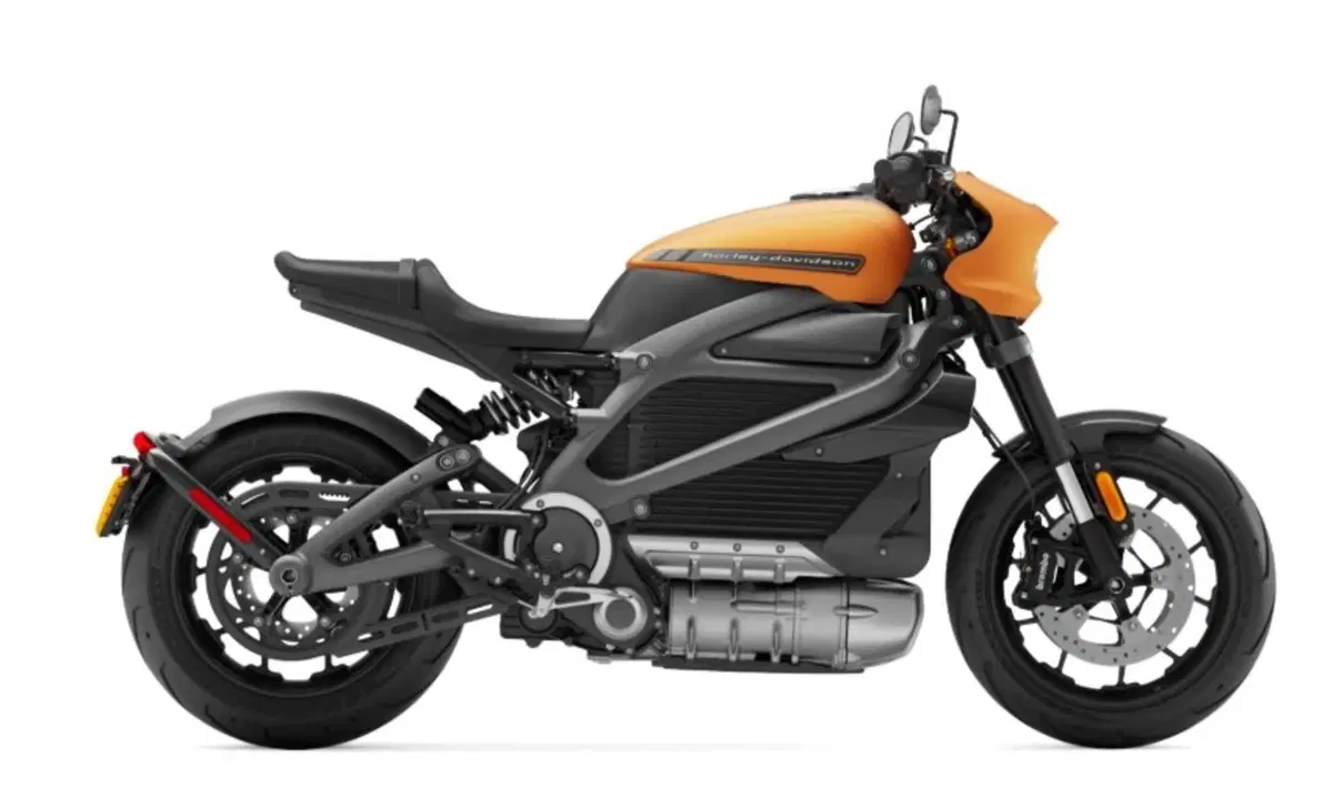 Harley-Davidson LiveWire LiveWire (2019 - 22) (13)