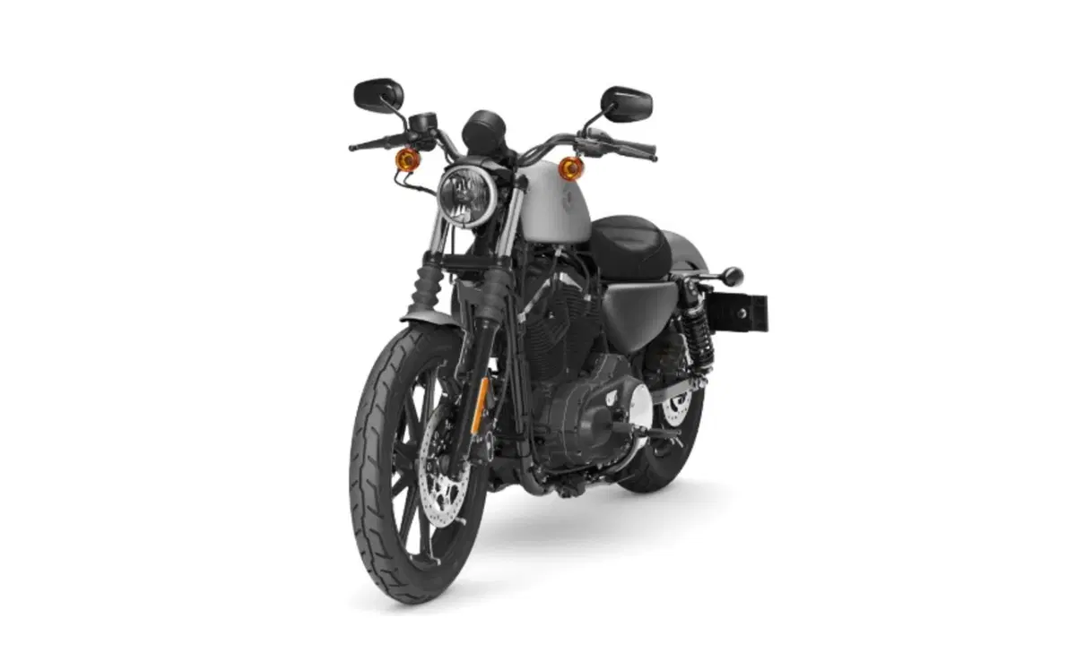 Harley-Davidson Sportster 883 Iron (2017 - 20) - XL 883N (9)