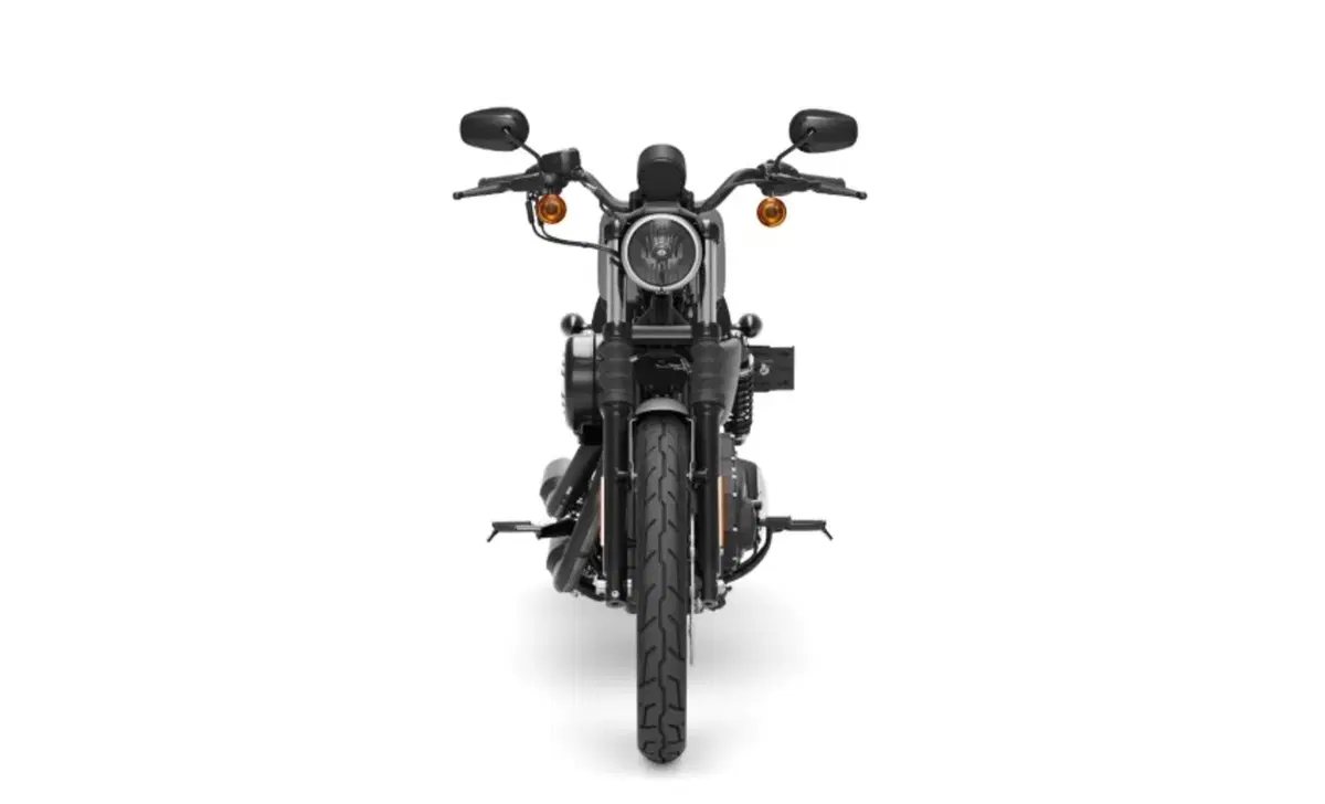 Harley-Davidson Sportster 883 Iron (2017 - 20) - XL 883N (3)