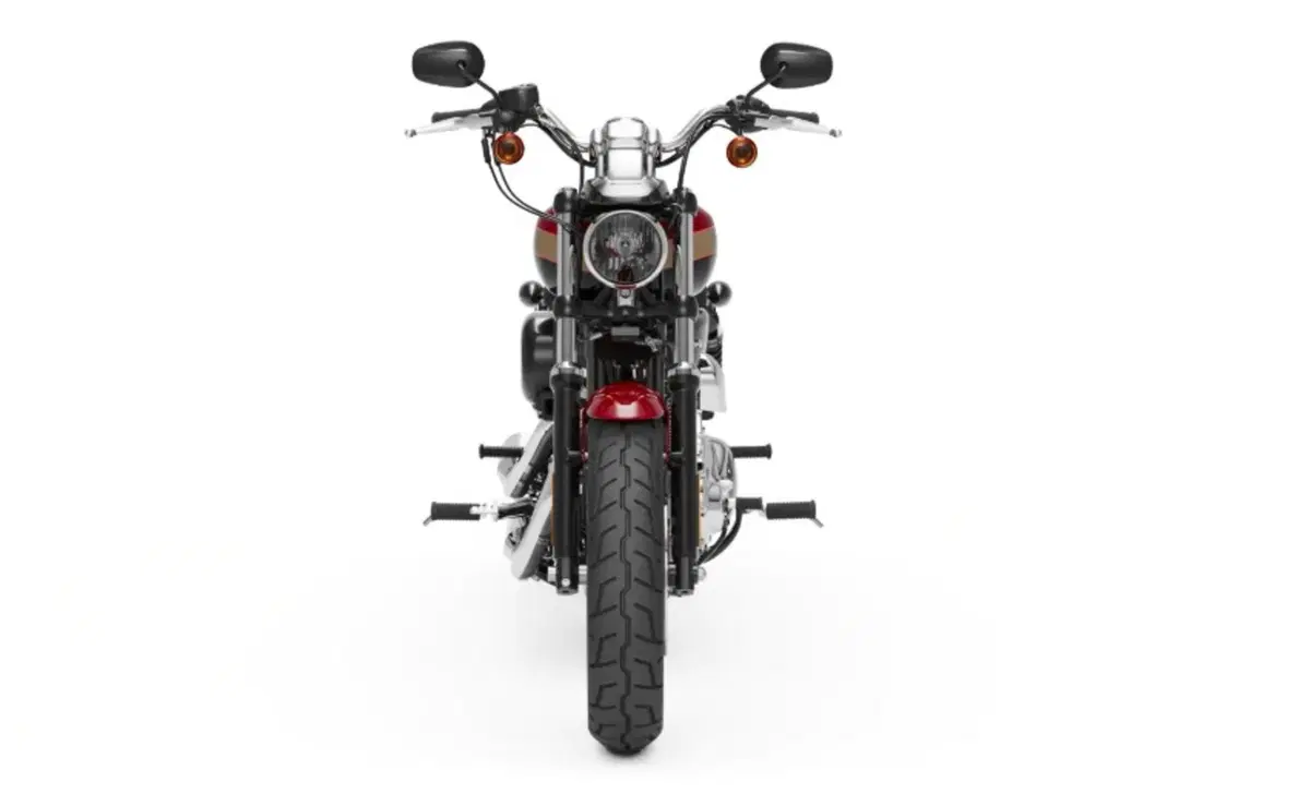 Harley-Davidson Sportster 1200 Custom (2018 - 20) - XL1200C (3)