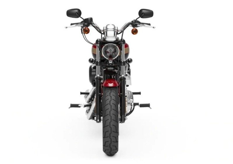 Harley-Davidson Sportster 1200 Custom (2018 - 20) - XL1200C (3)