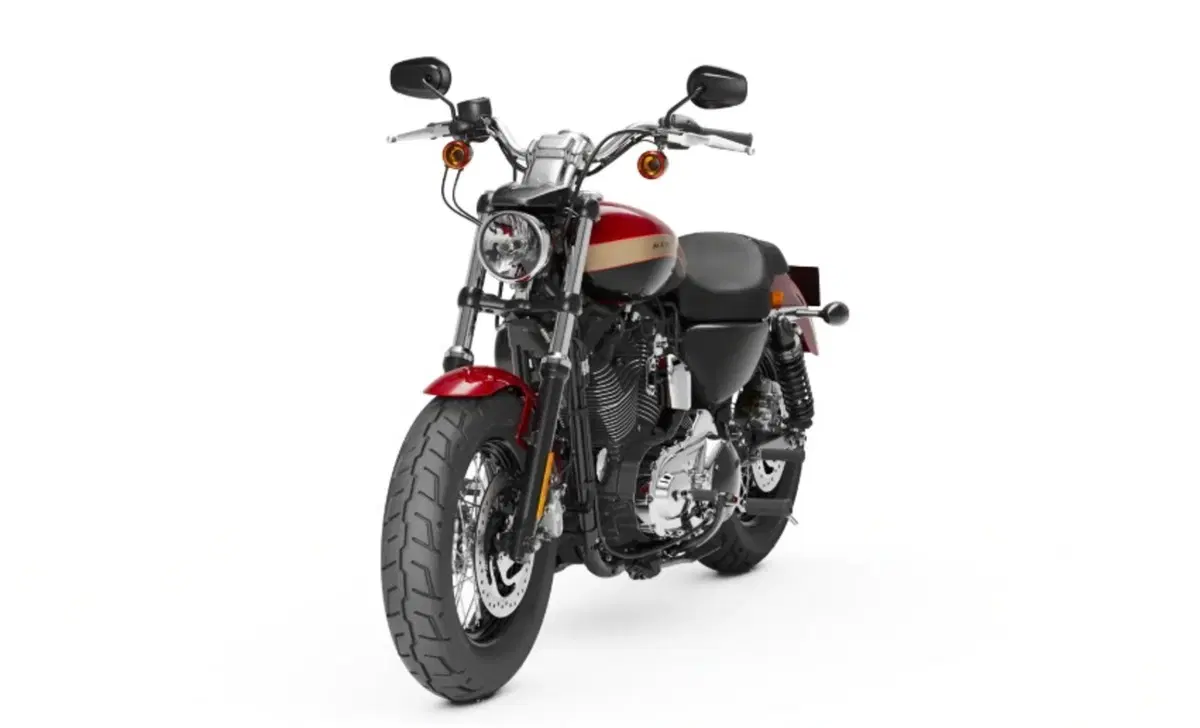 Harley-Davidson Sportster 1200 Custom (2018 - 20) - XL1200C (6)