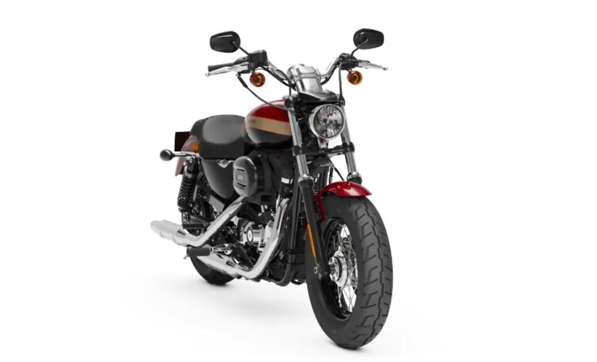 Harley-Davidson Sportster 1200 Custom (2018 - 20) - XL1200C (10)
