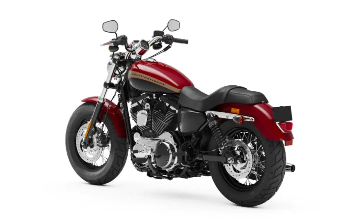 Harley-Davidson Sportster 1200 Custom (2018 - 20) - XL1200C (8)