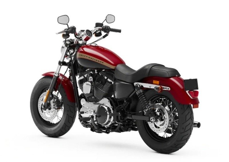 Harley-Davidson Sportster 1200 Custom (2018 - 20) - XL1200C (8)