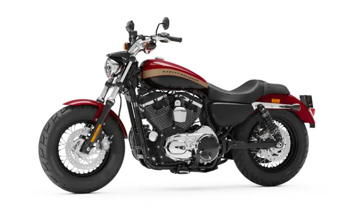 Harley-Davidson Sportster 1200 Custom (2018 - 20) - XL1200C (7)