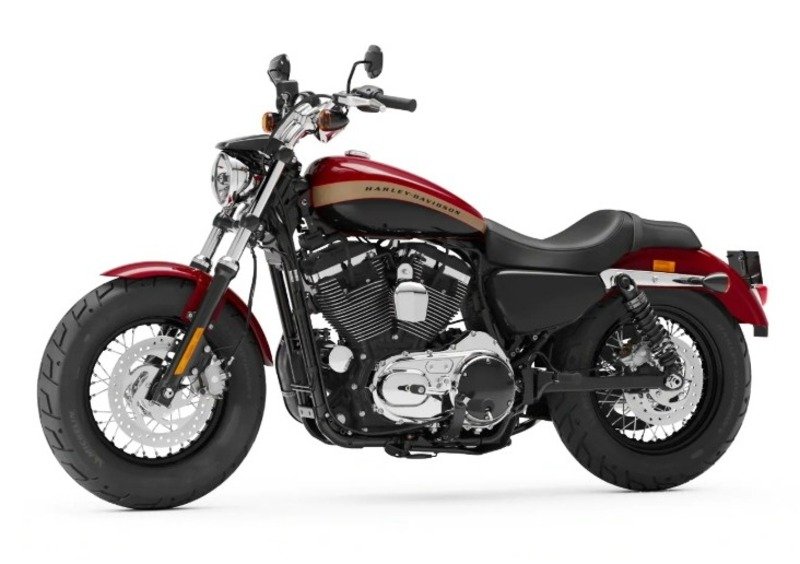 Harley-Davidson Sportster 1200 Custom (2018 - 20) - XL1200C (7)