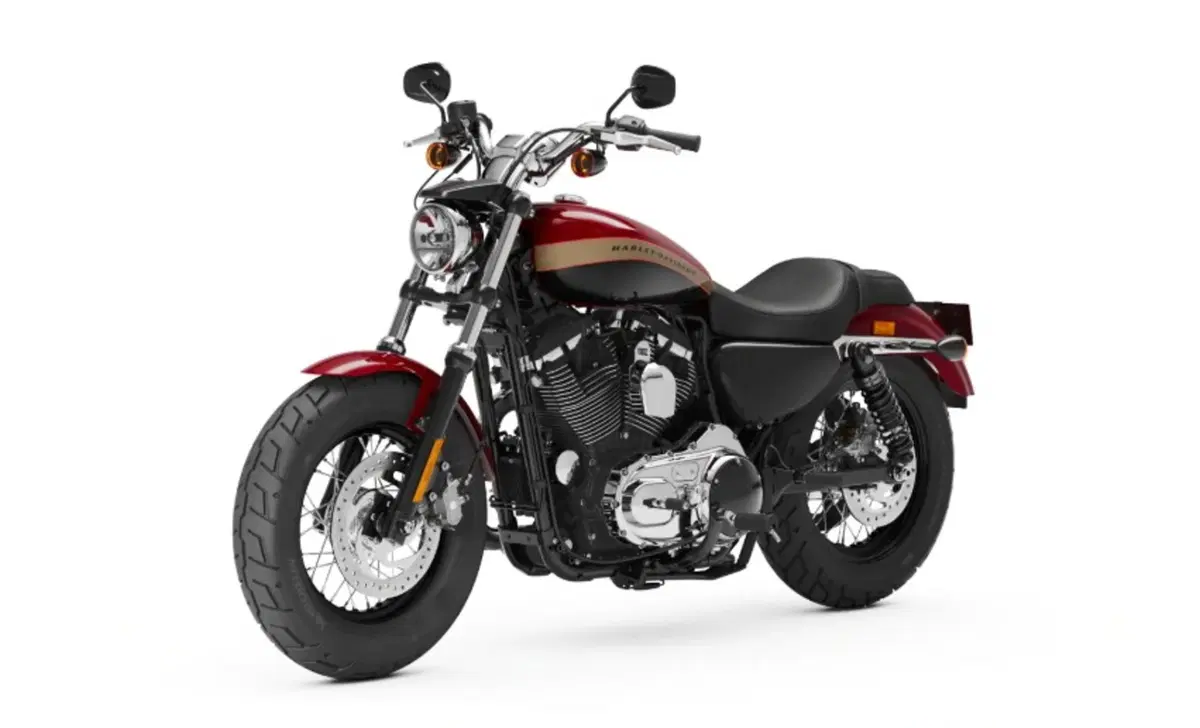 Harley-Davidson Sportster 1200 Custom (2018 - 20) - XL1200C (9)