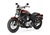 Harley-Davidson 1200 Custom (2018 - 20) - XL1200C (9)