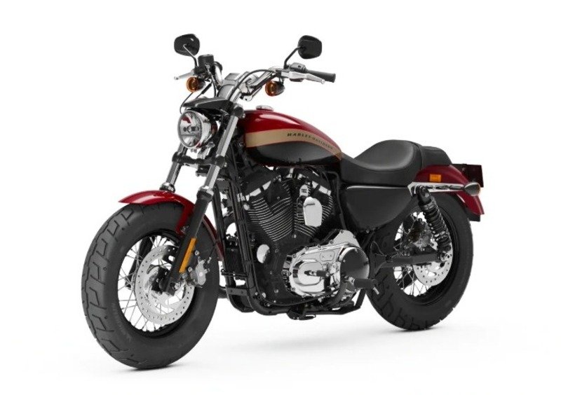 Harley-Davidson Sportster 1200 Custom (2018 - 20) - XL1200C (9)