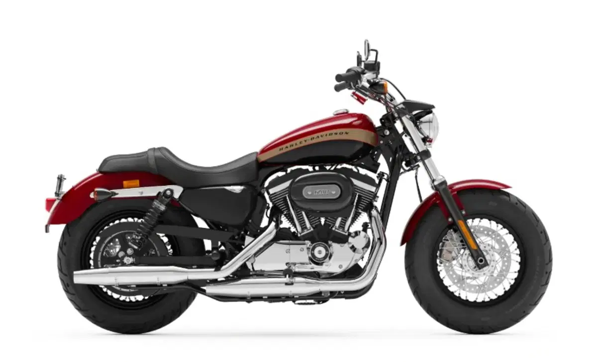 Harley-Davidson Sportster 1200 Custom (2018 - 20) - XL1200C (2)