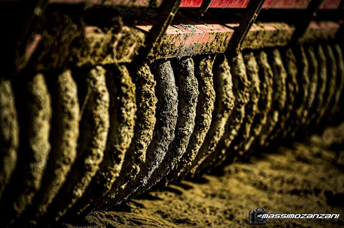 Gallery MX. Le foto più belle del GP di Svezia 2019 (83)