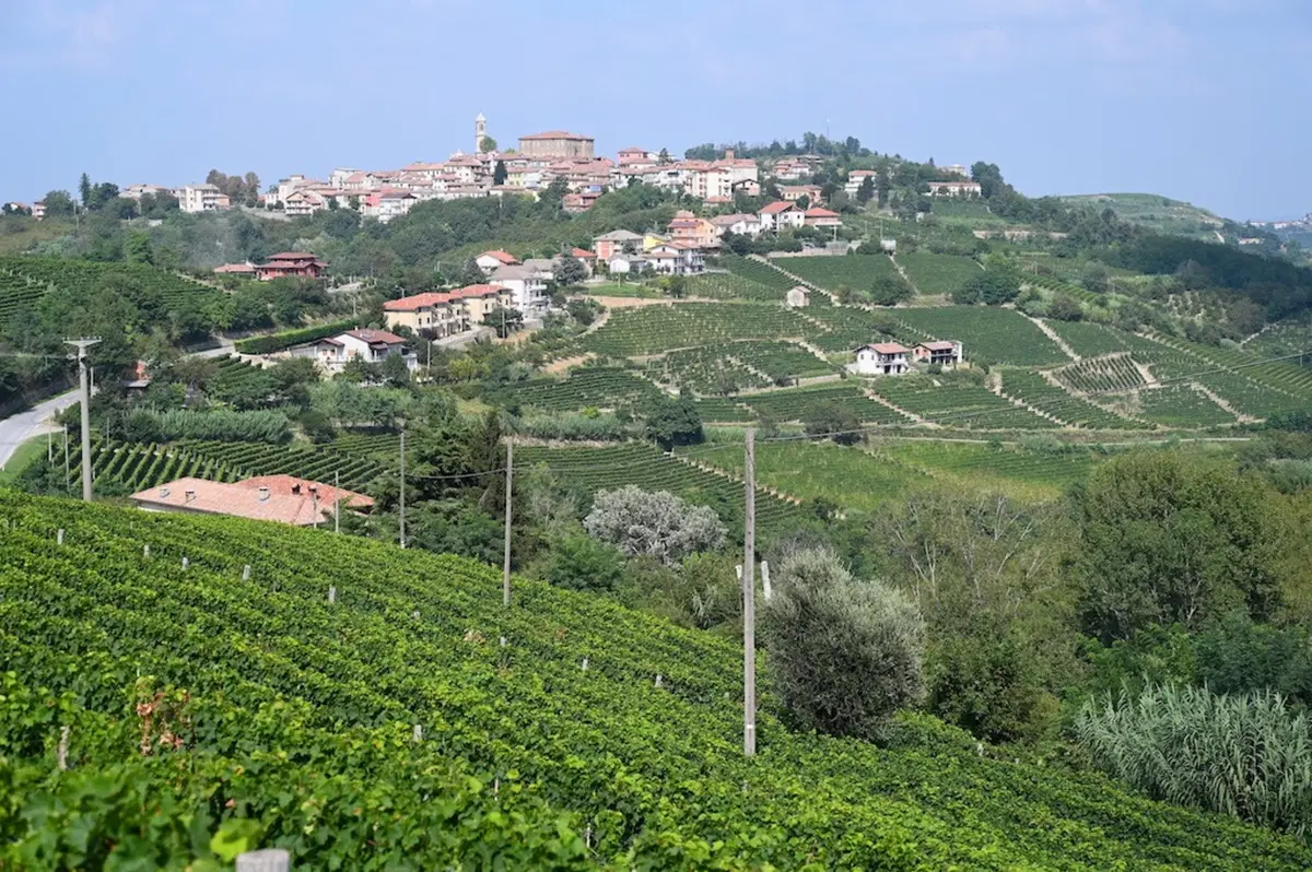 8 delle Langhe - 4° Trofeo Dario Sebaste. Noi c'eravamo! (46)