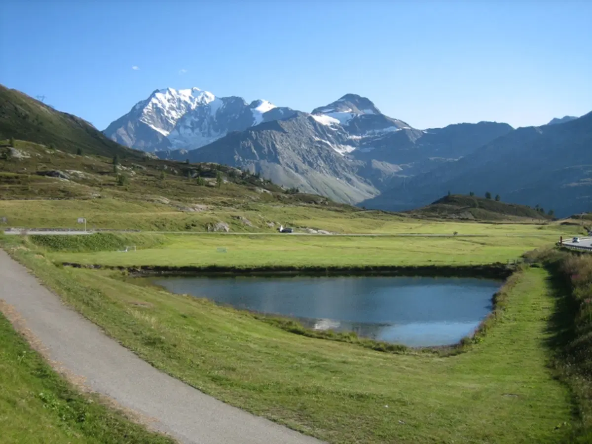 La ricotta di Zinal
