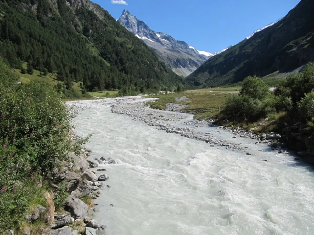 La ricotta di Zinal (16)