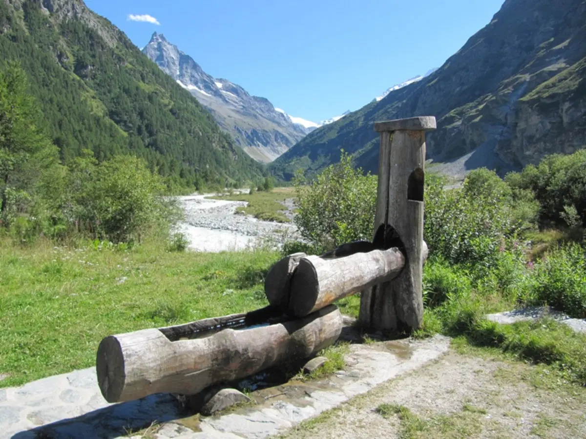 La ricotta di Zinal (17)