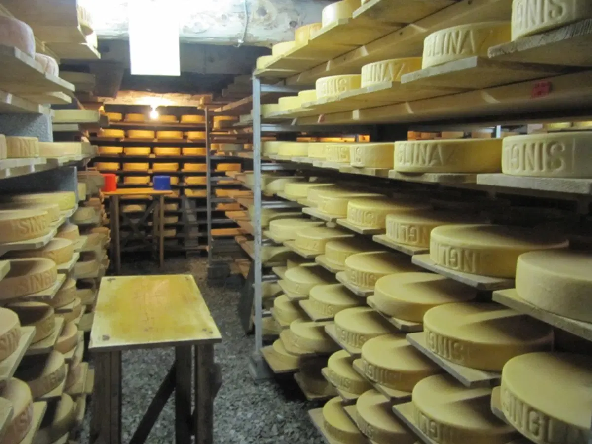 La ricotta di Zinal (19)