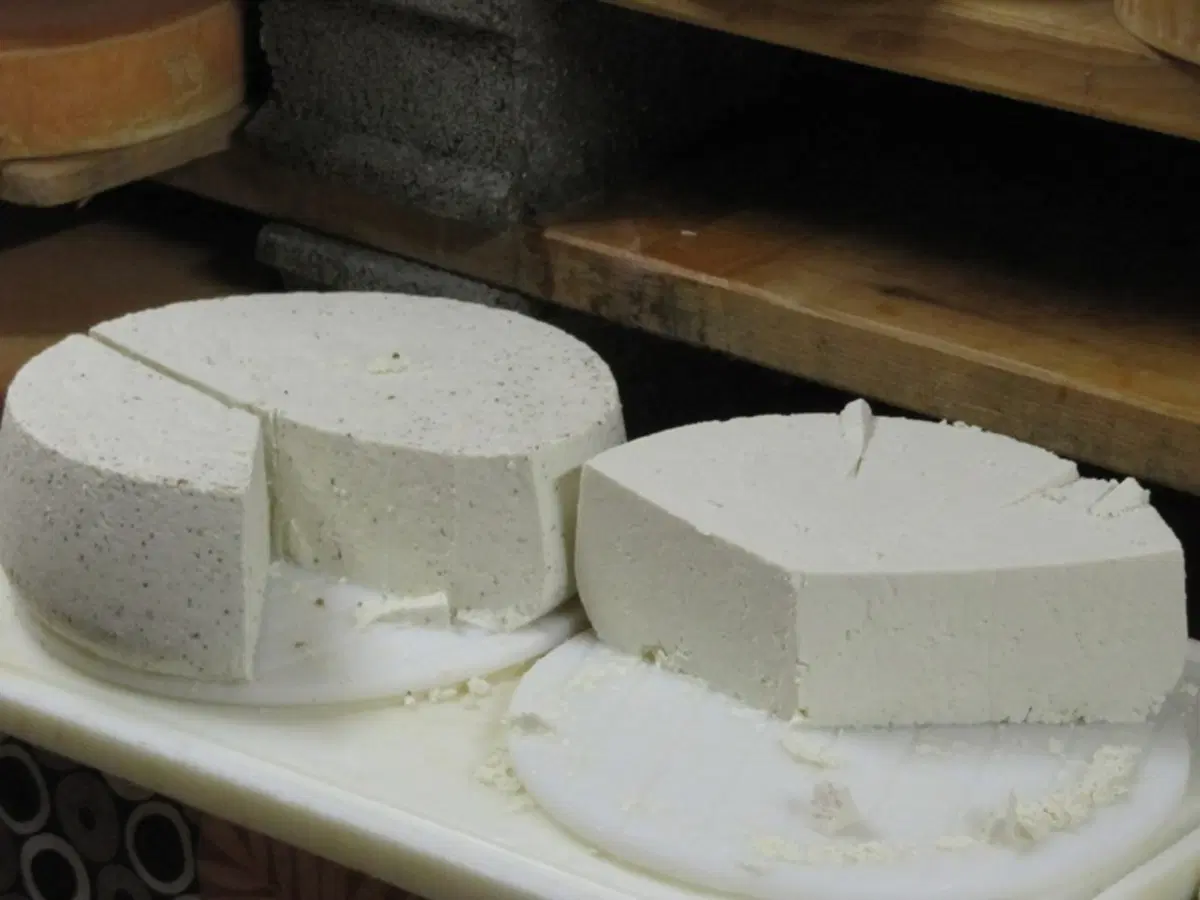 La ricotta di Zinal (20)