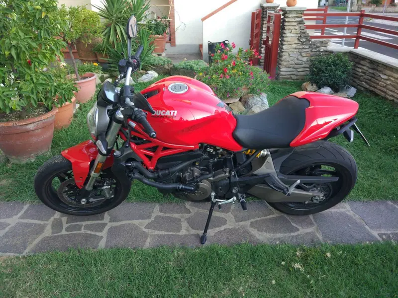 Ducati Monster 821 ABS (2014 - 17) (2)