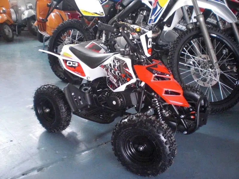  Altre moto o tipologie Quad (2)