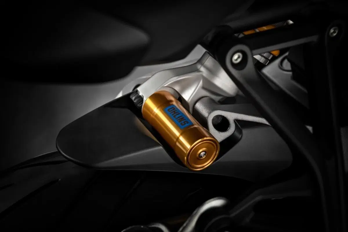 Ducati Monster 1200 Monster 1200 S (2017 - 21) (14)