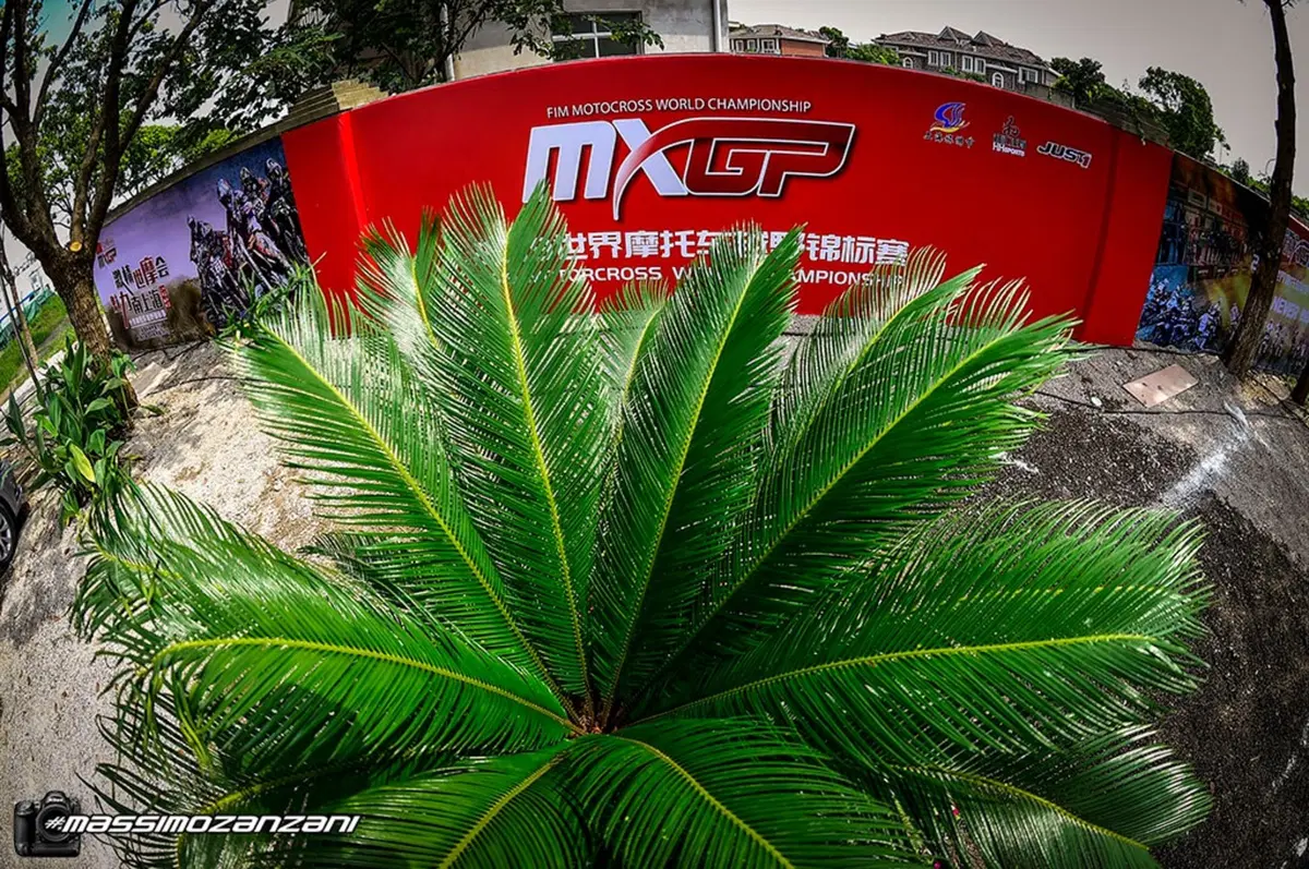 Gallery MX. Le foto più belle del GP della Cina 2019 (63)