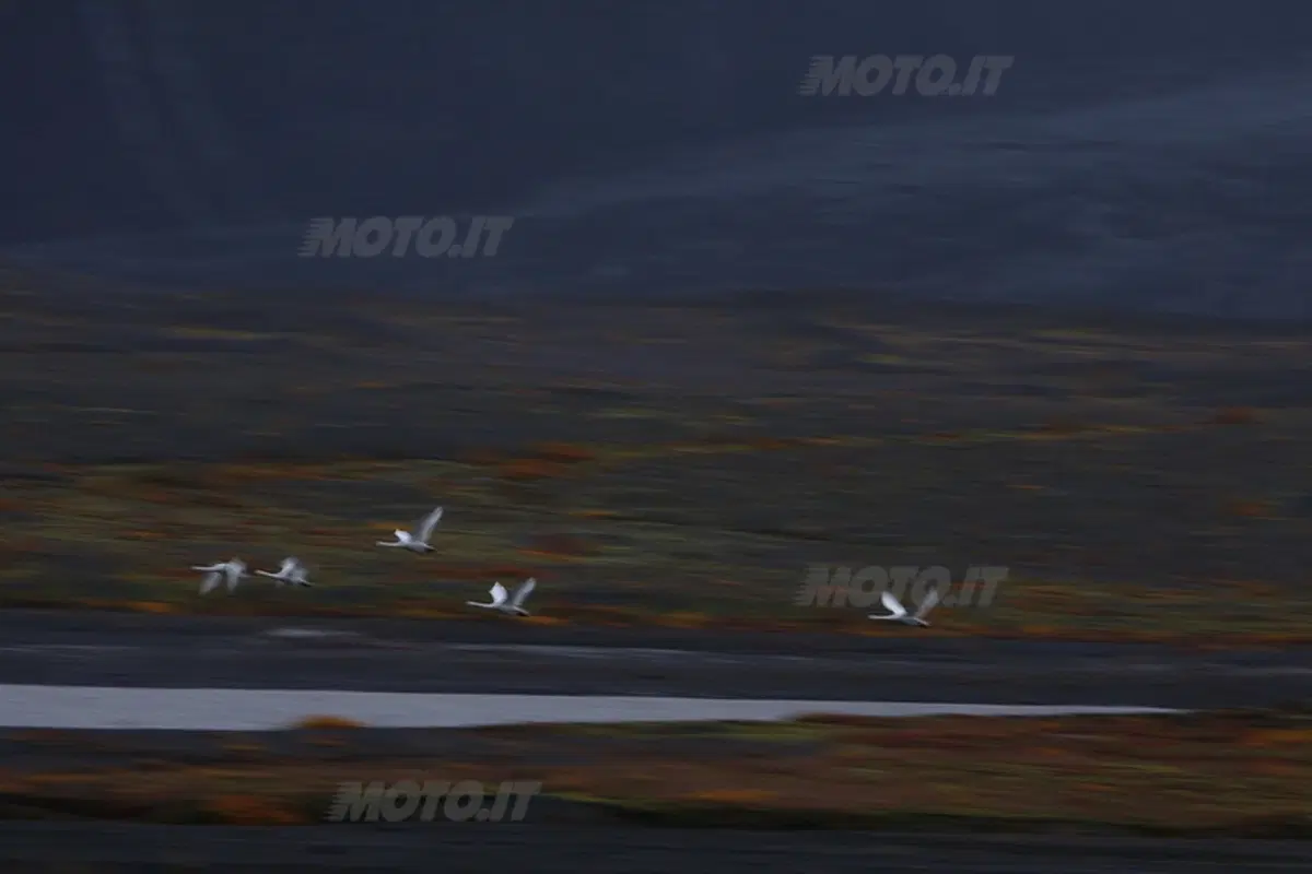 Planet Explorer Iceland: in moto in Islanda live tour (8)