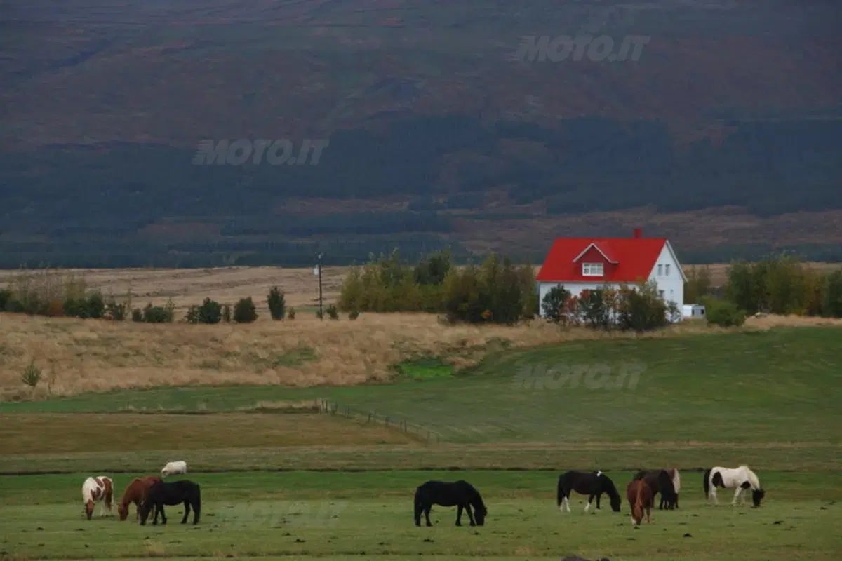 Planet Explorer Iceland: in moto in Islanda live tour (26)