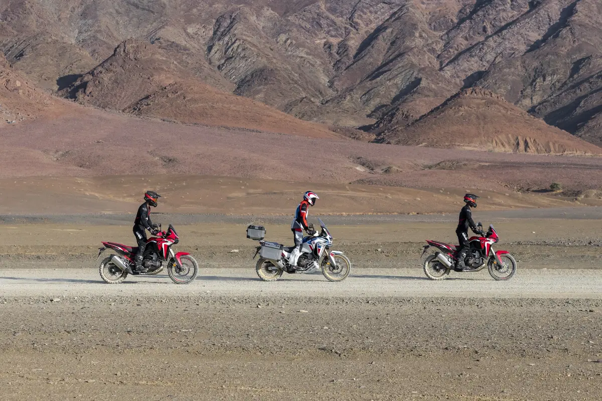 Nuove Honda CRF1100L Africa Twin CRF1100L e Adventure Sports 2020: foto e dati. Prezzi (8)