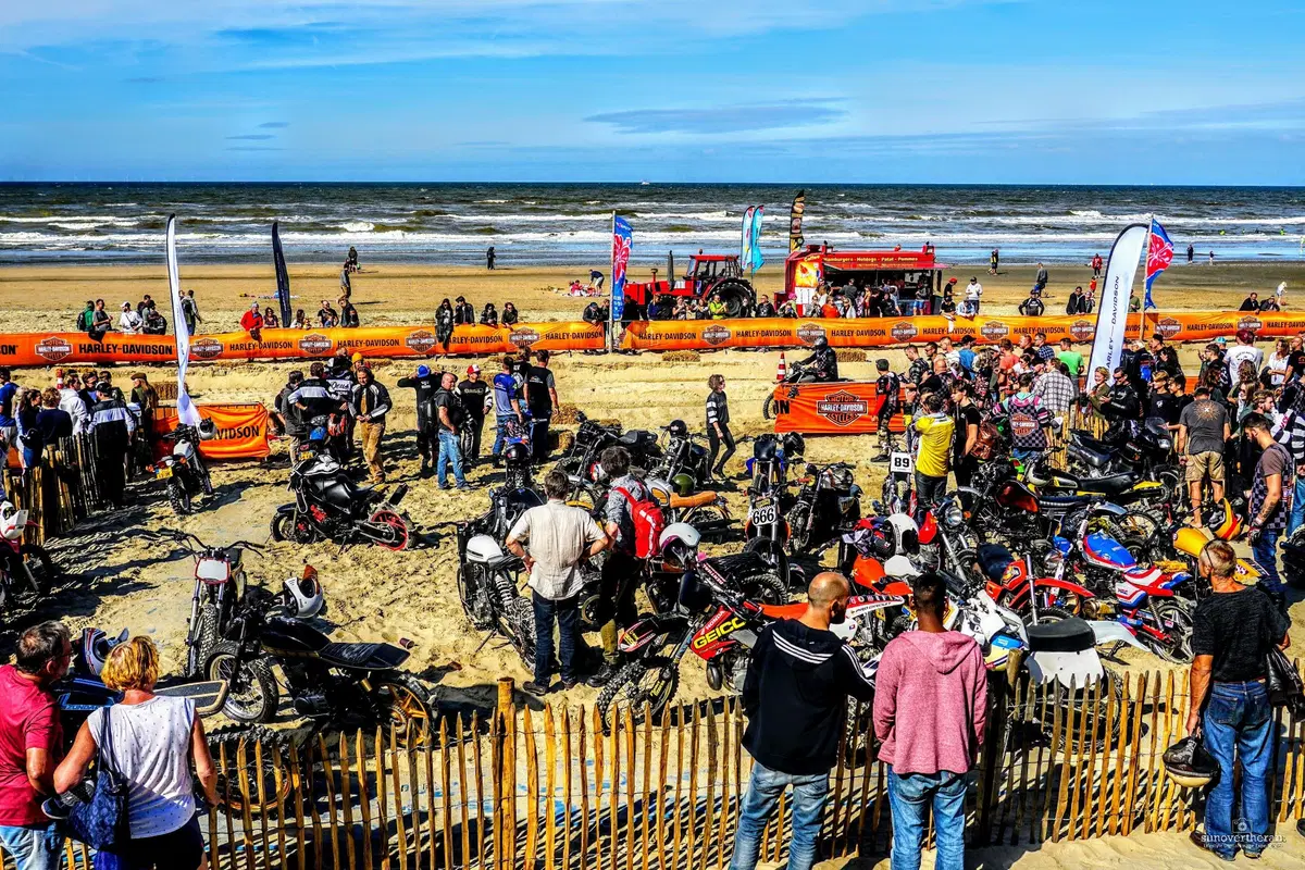 Bikes & Board 2019, Expect the Unexpected (50)
