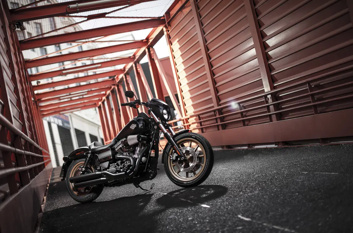 Harley-Davidson Dyna Low Rider S  (8)