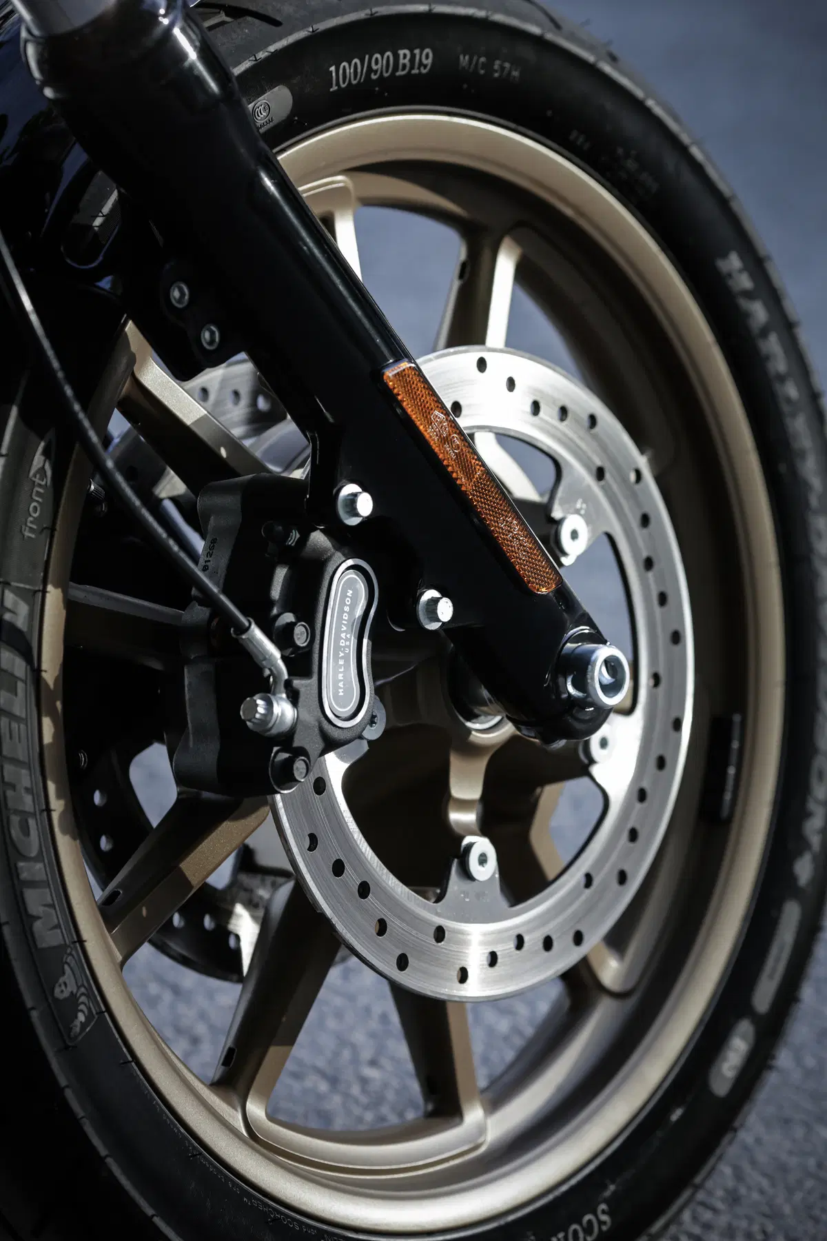 Harley-Davidson Dyna Low Rider S  (11)