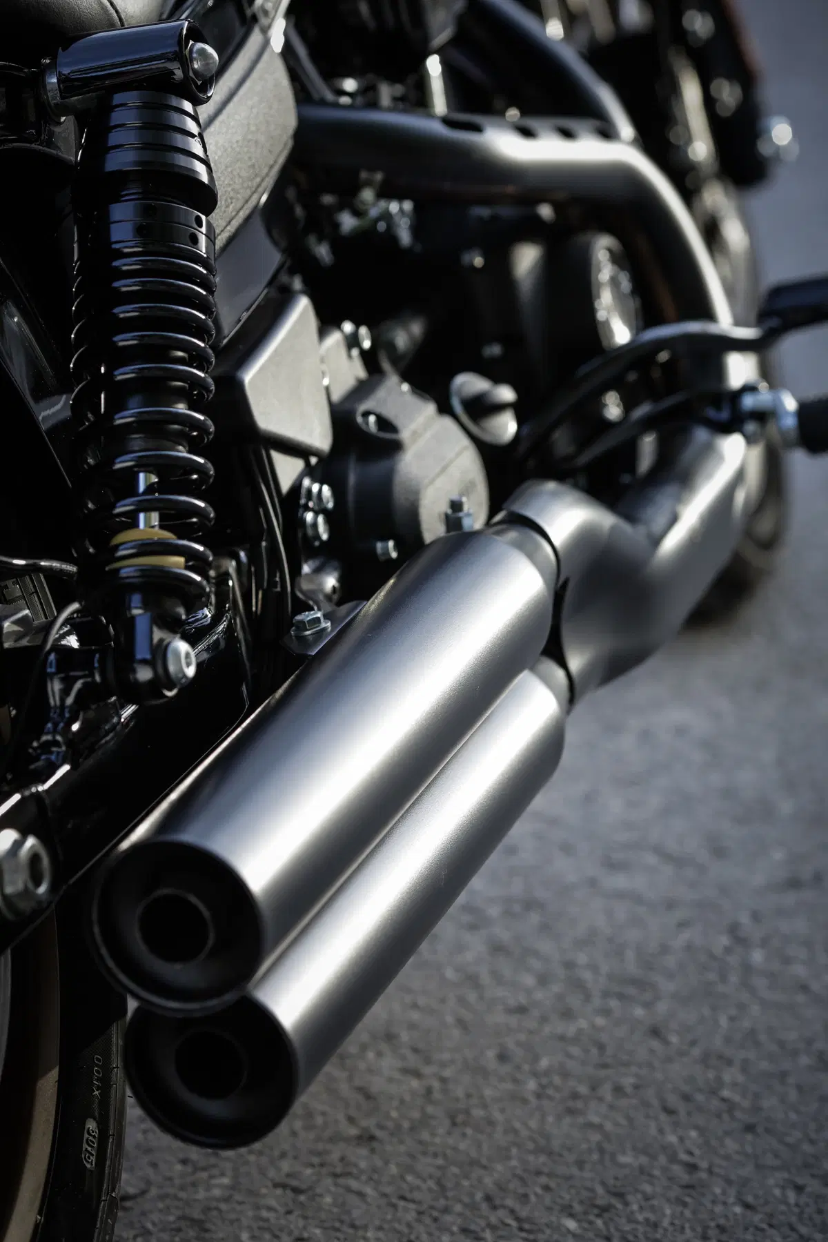 Harley-Davidson Dyna Low Rider S  (12)