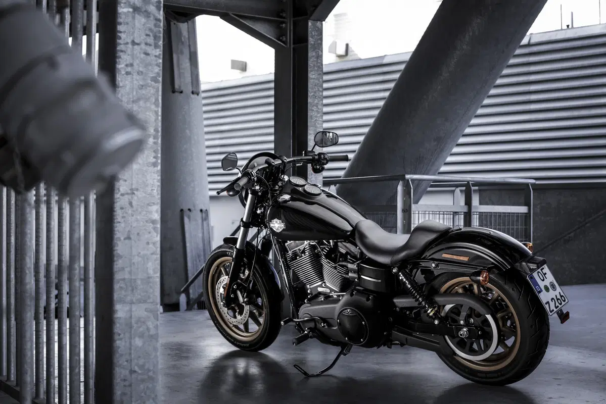 Harley-Davidson Dyna Low Rider S  (14)