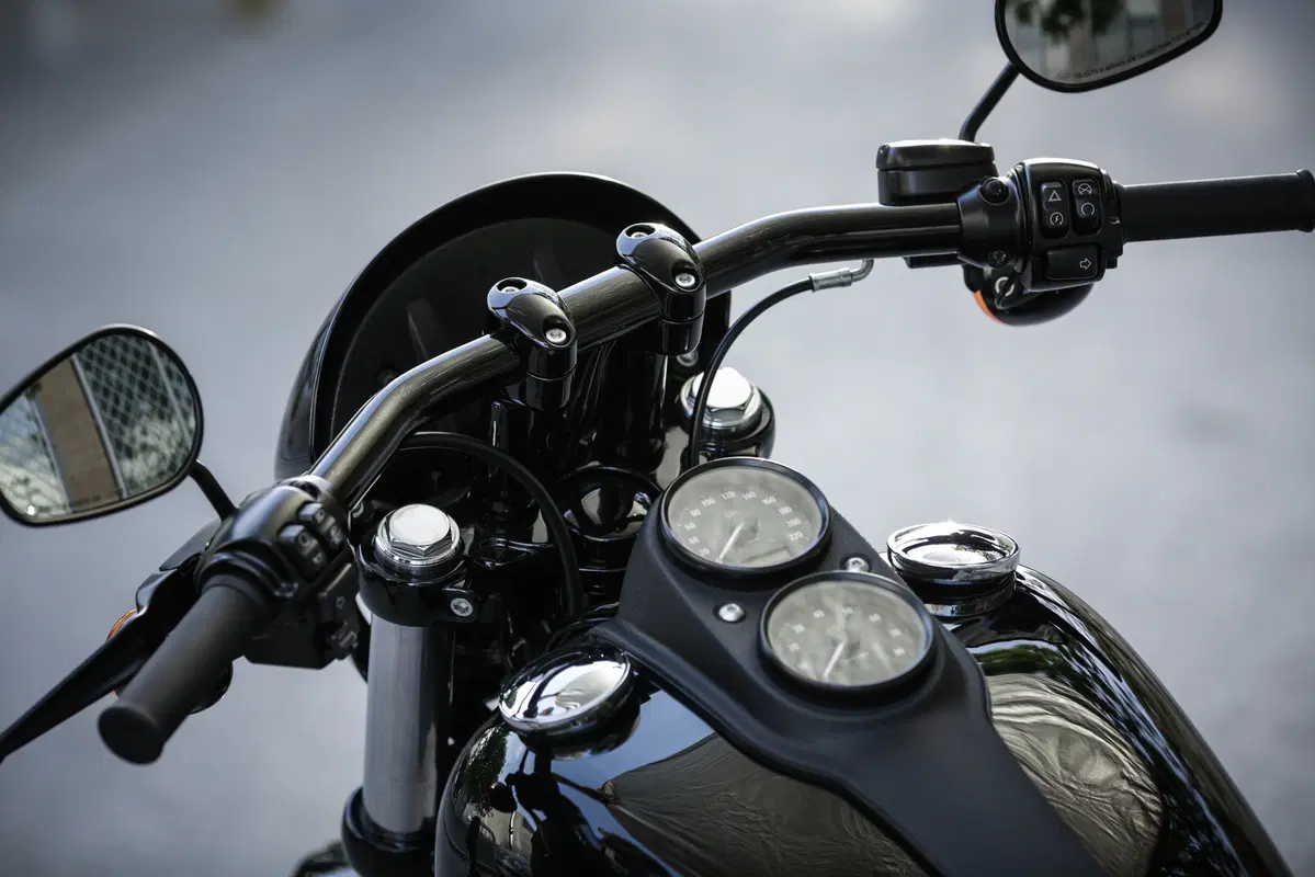 Harley-Davidson Dyna Low Rider S  (13)