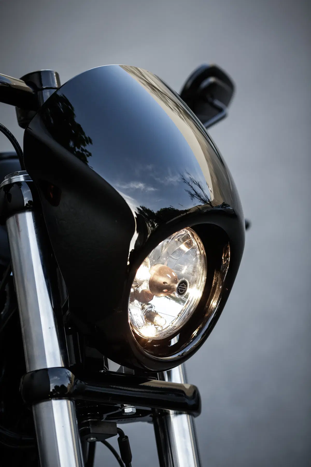 Harley-Davidson Dyna Low Rider S  (23)