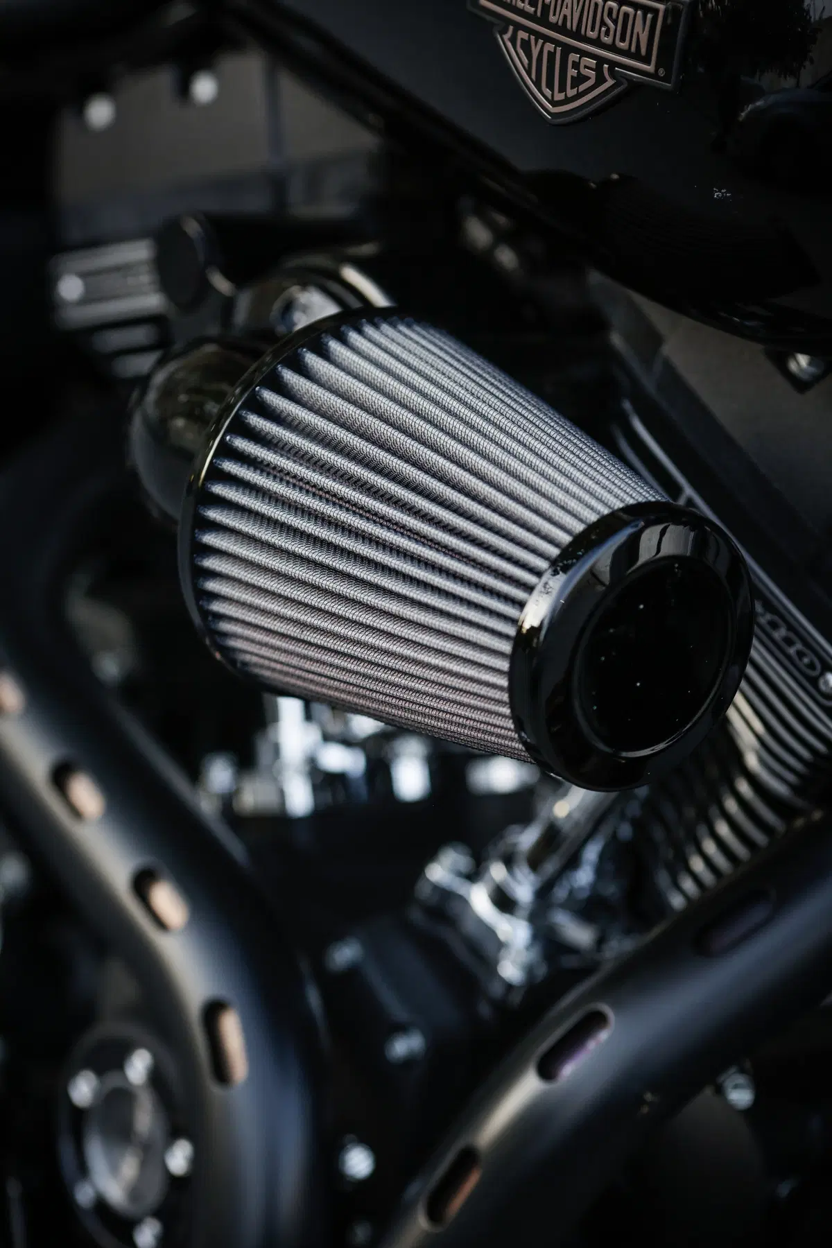 Harley-Davidson Dyna Low Rider S  (24)