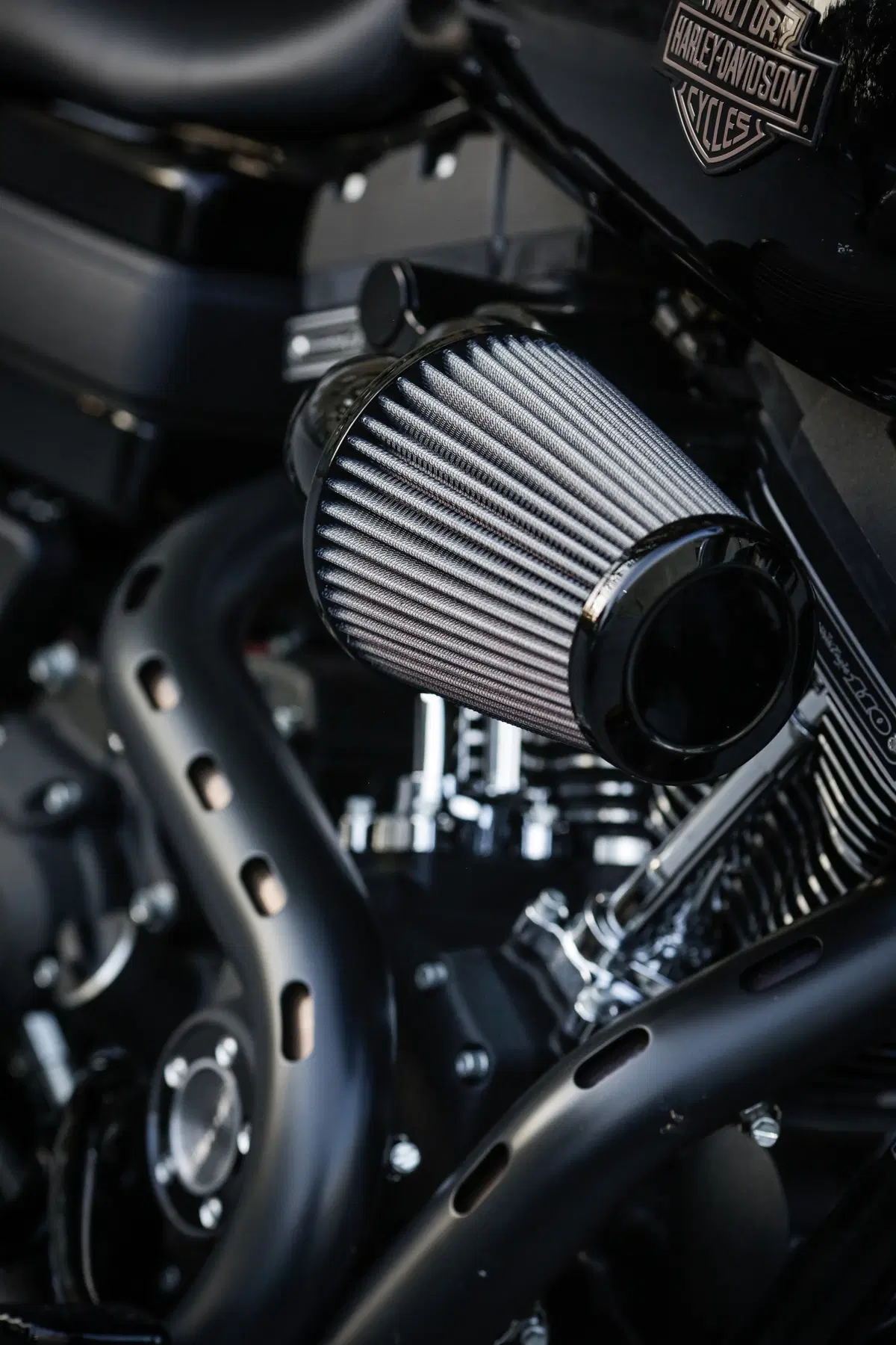 Harley-Davidson Dyna Low Rider S  (25)