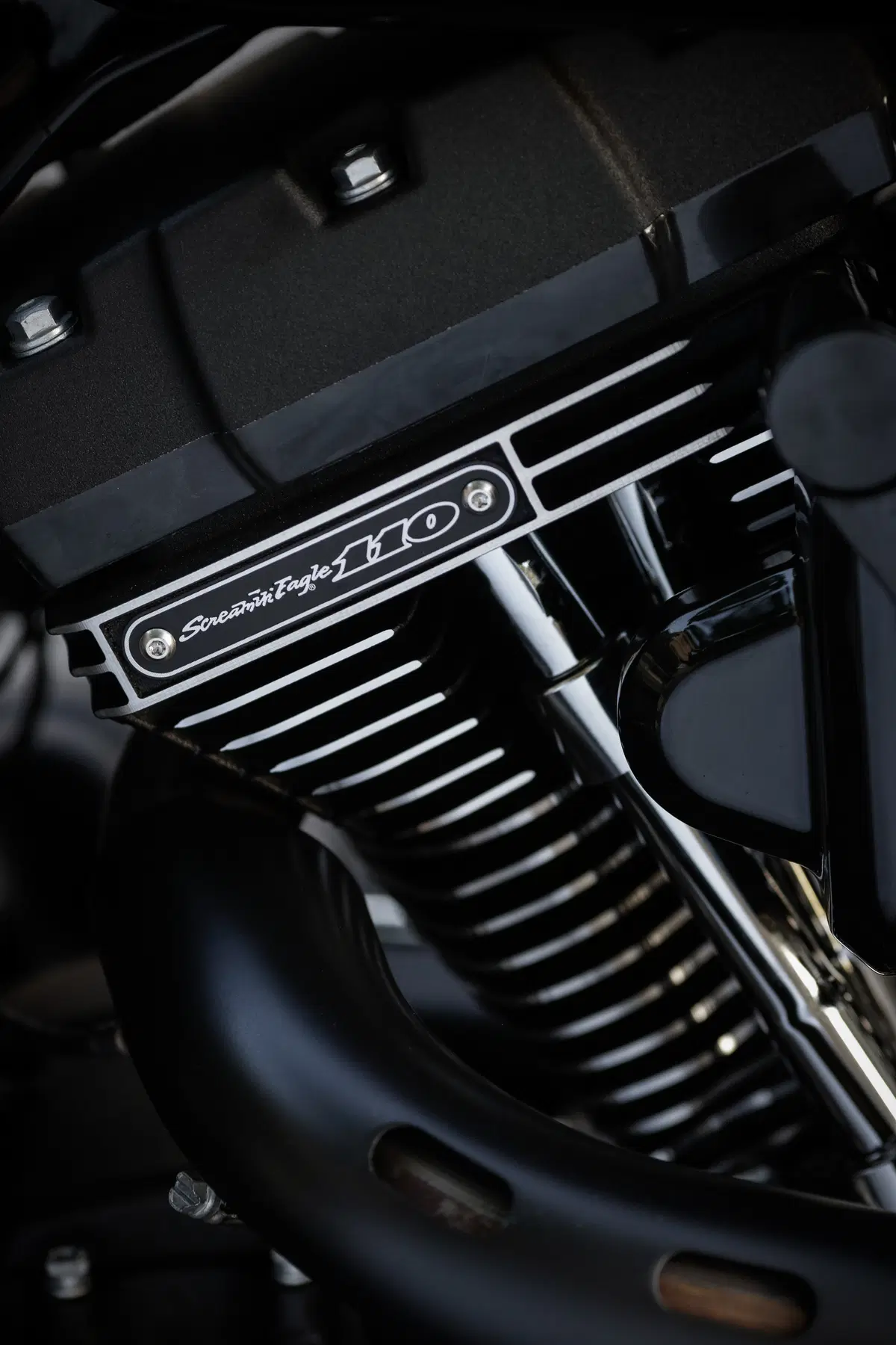 Harley-Davidson Dyna Low Rider S  (29)