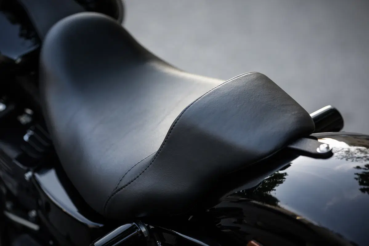 Harley-Davidson Dyna Low Rider S  (30)