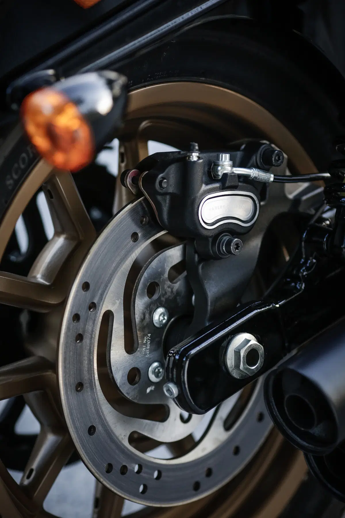 Harley-Davidson Dyna Low Rider S  (33)