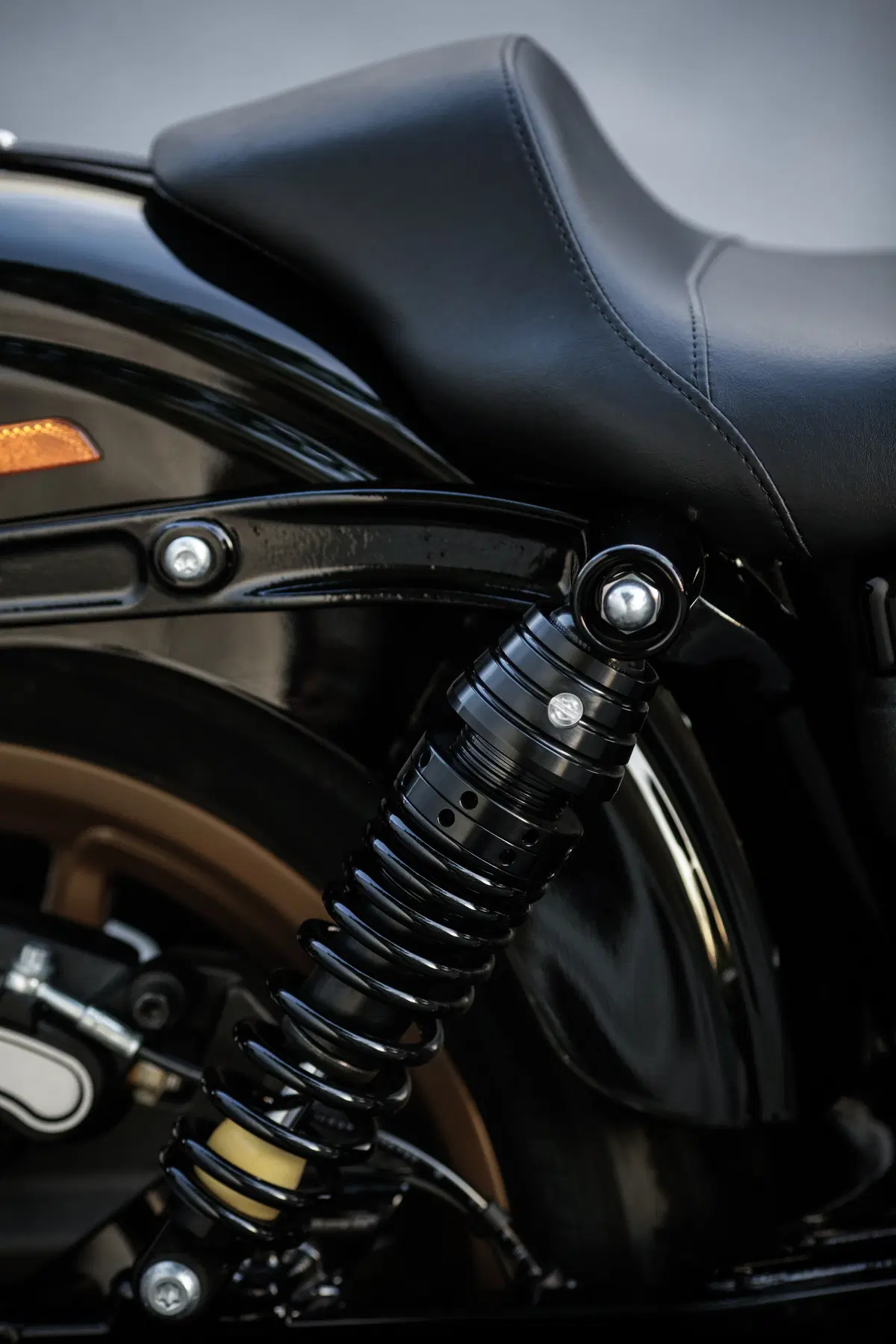Harley-Davidson Dyna Low Rider S  (34)